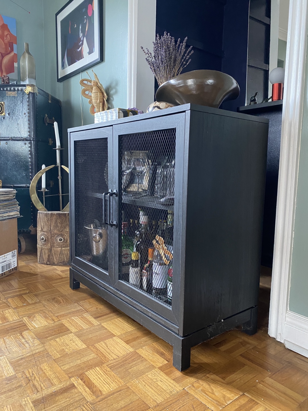 Black Cabinet with Wire Mesh Doors - photo 2