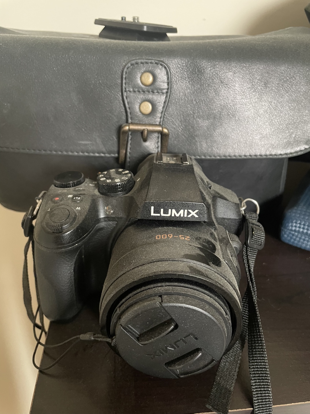 Lumix Camera and Bag