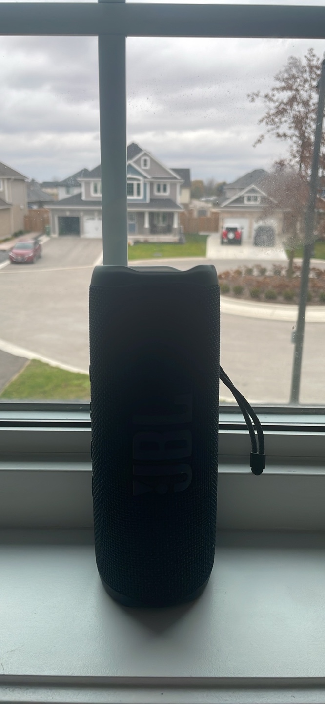 JBL Flip 6  ( Excellent condition) - photo 2