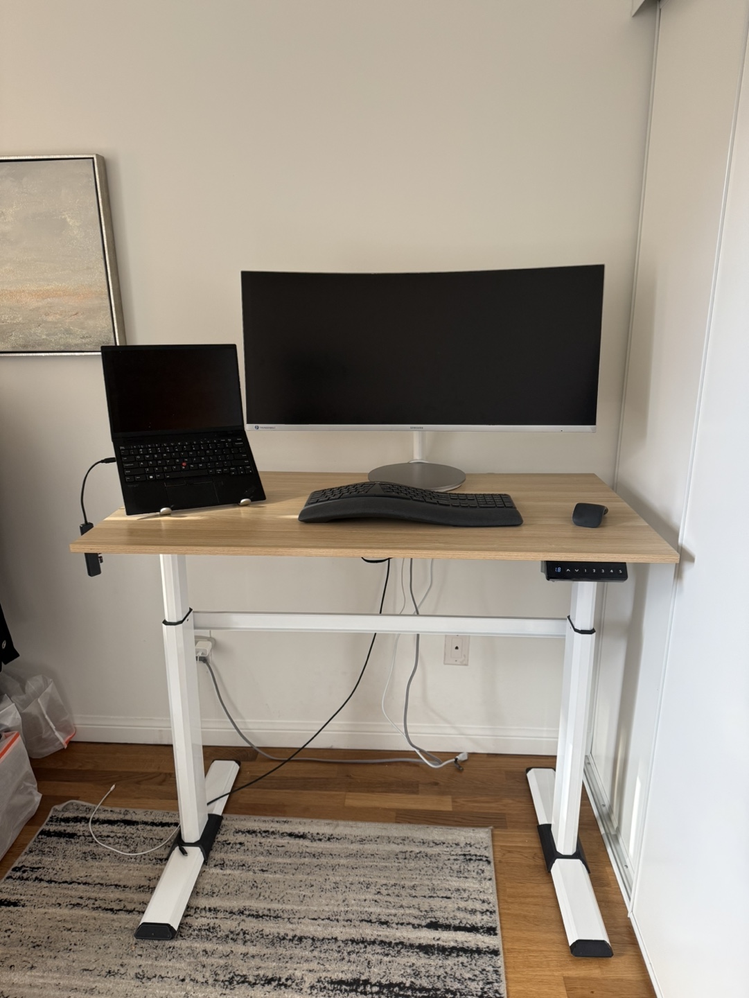 Fenge Electric Standing Desk