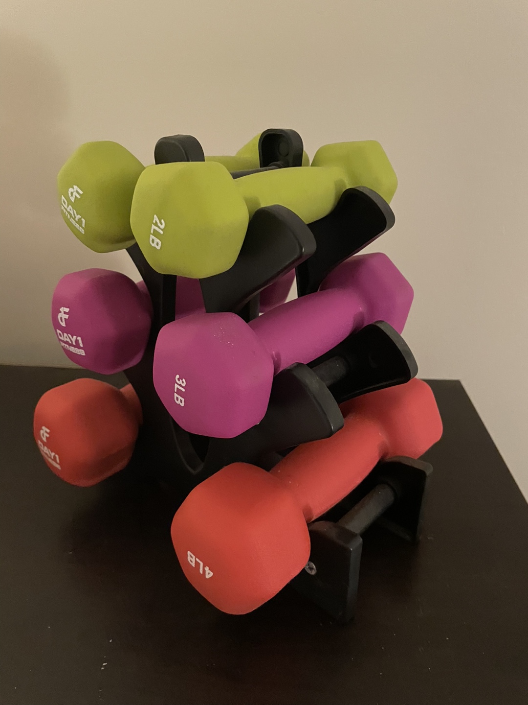 Day 1 Fitness Dumbbell Set