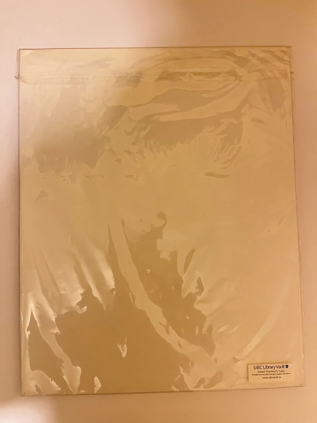 Framed Art - The Temple of Flora by Robert John Thornton image indicator(2)