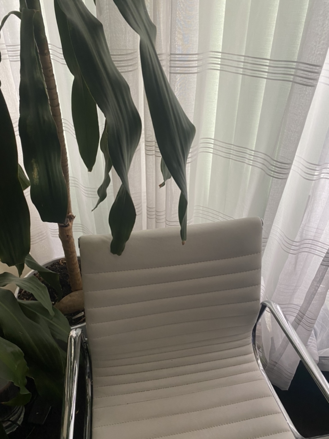 White Office Chair with Chrome Arms 💚 - photo 2
