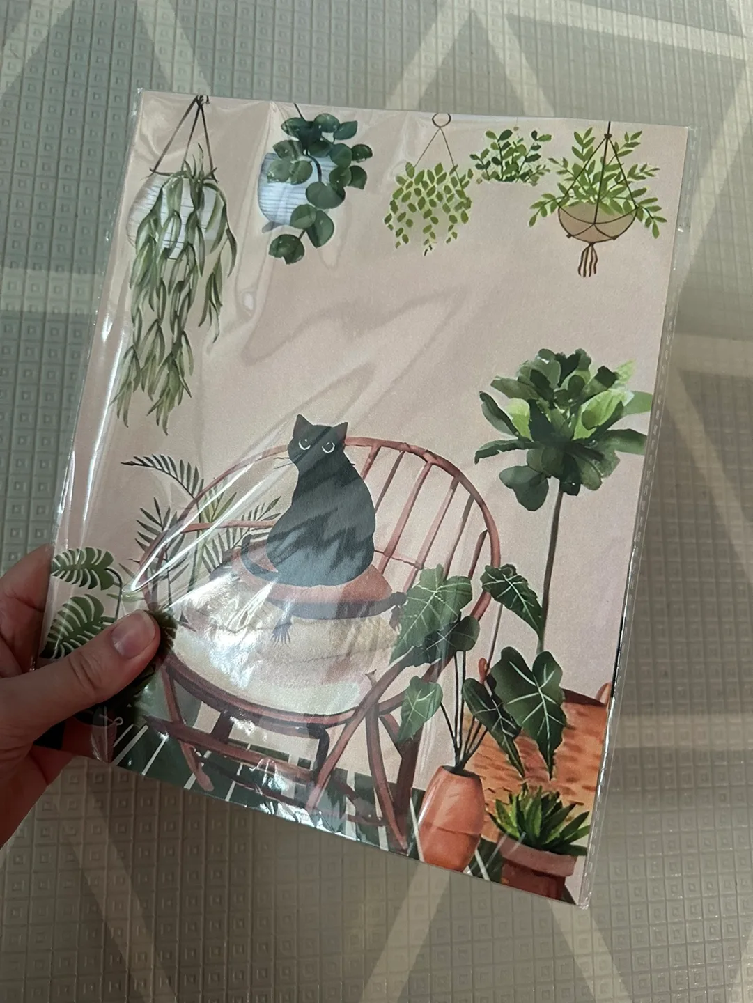 Set of 5 cat prints *new* image indicator(2)