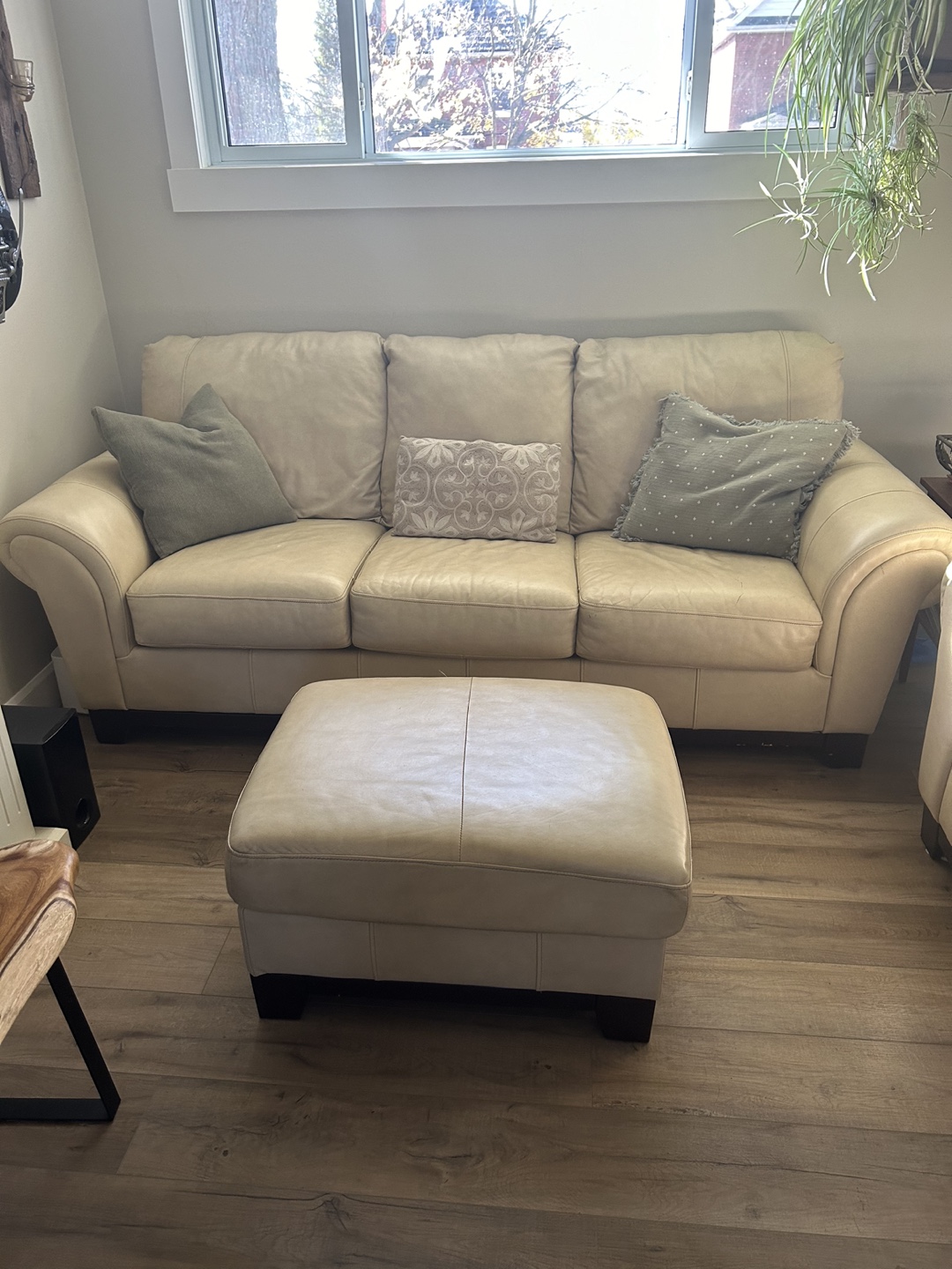 Leather Sofa and Ottoman Set
