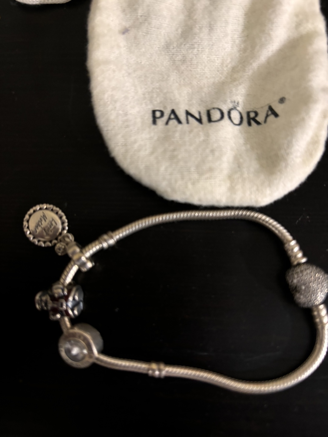 Pandora Bracelet with Charms