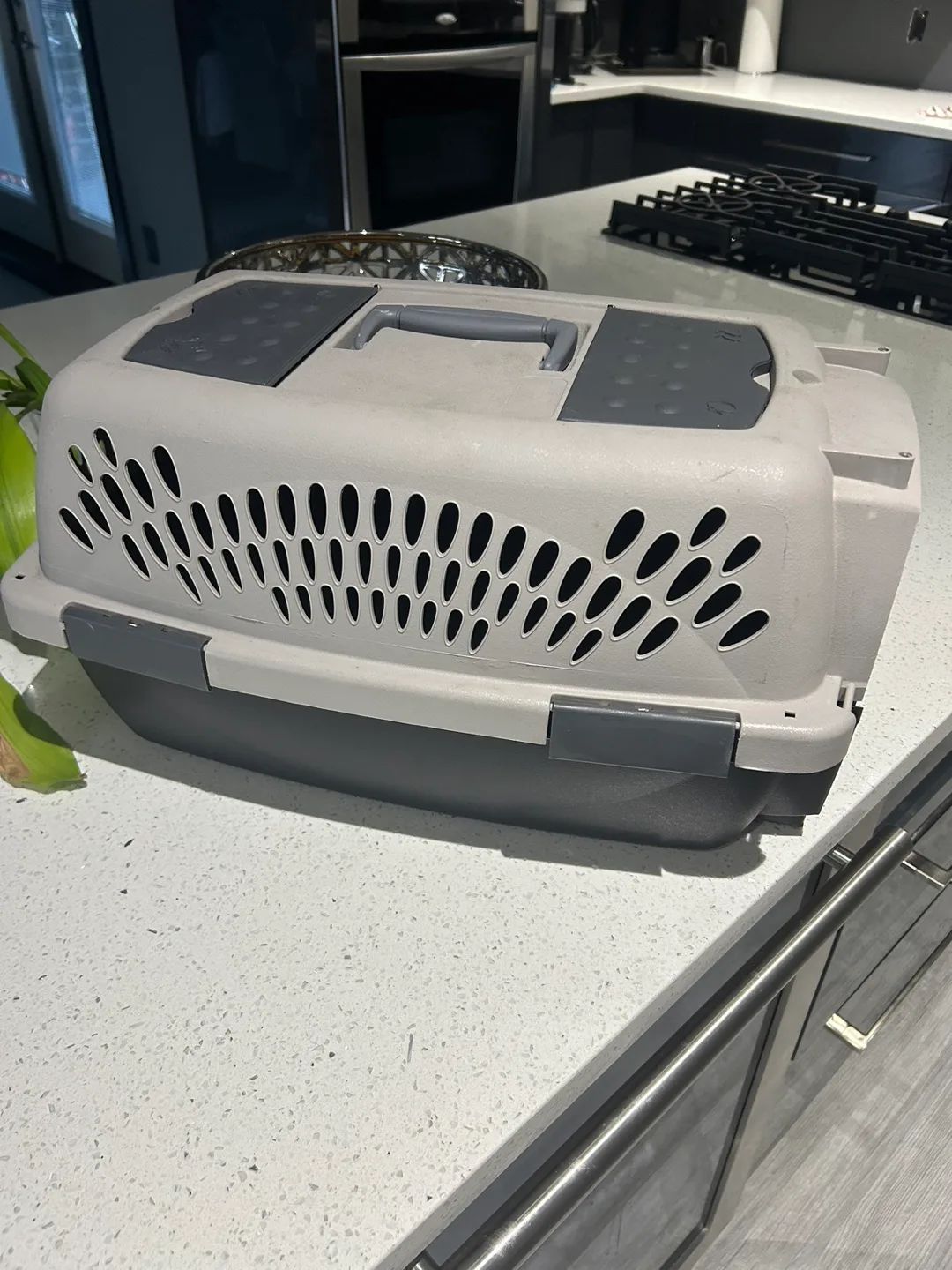 Pet Carrier thumbnail