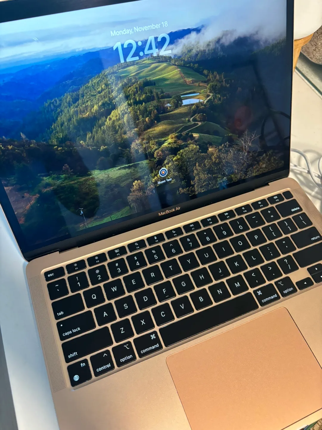 MacBook Air M1 2020 rose Gold image indicator(6)