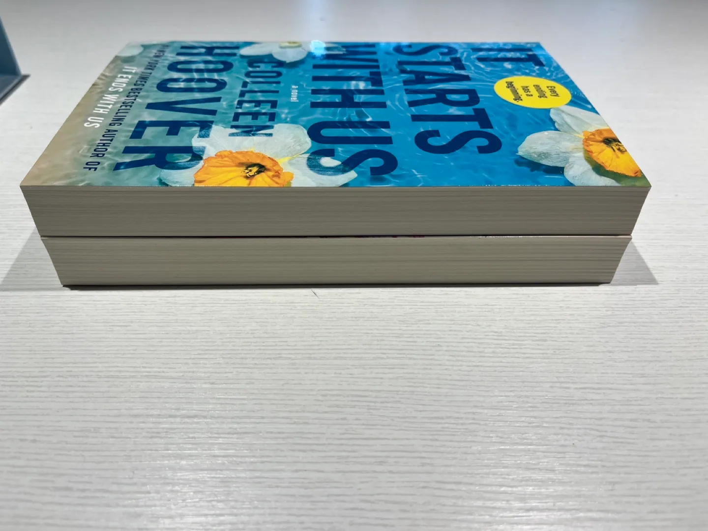 Colleen Hoover It Ends With Us & It Starts With Us - Paperback image indicator(3)