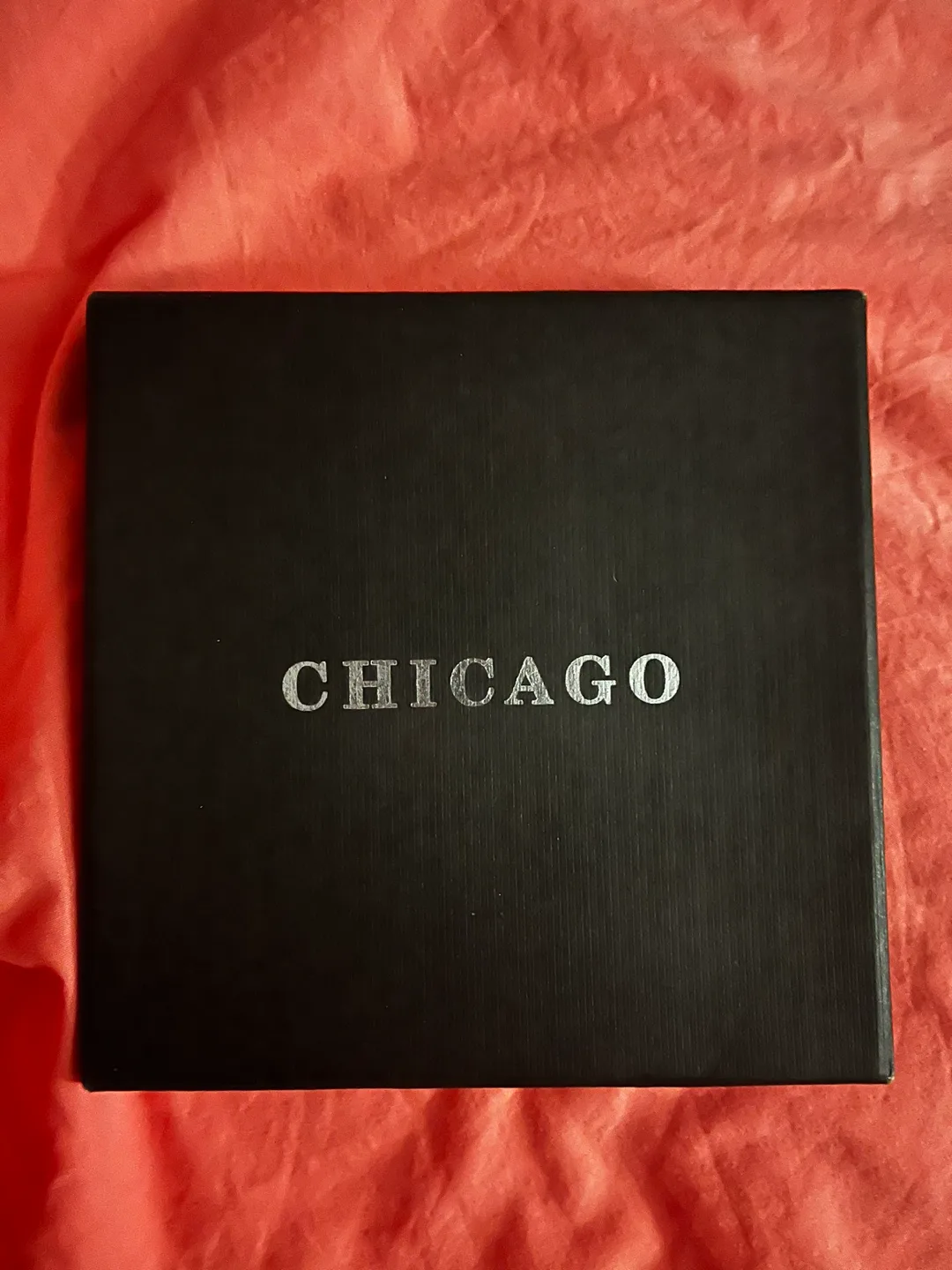 Chicago Windy City Souvenir Plate image indicator(7)