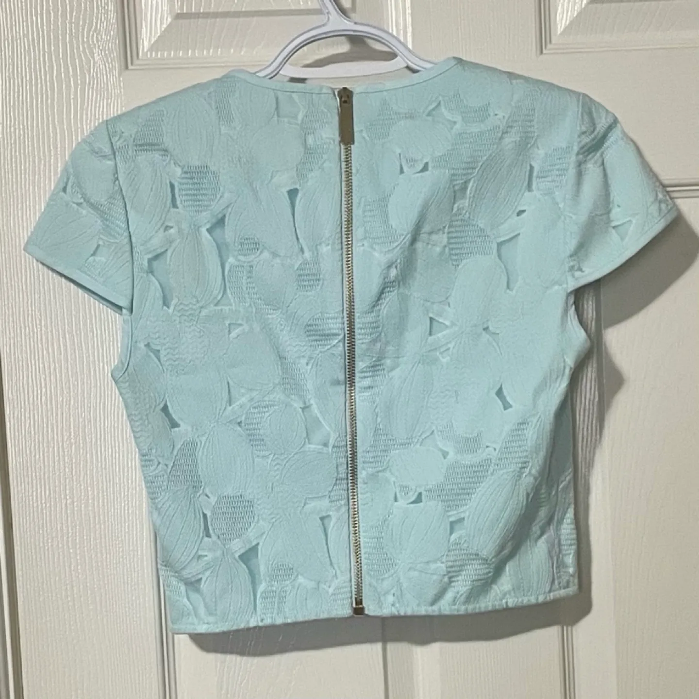 Ted Baker Starlia Cropped Top Blouse image indicator(5)