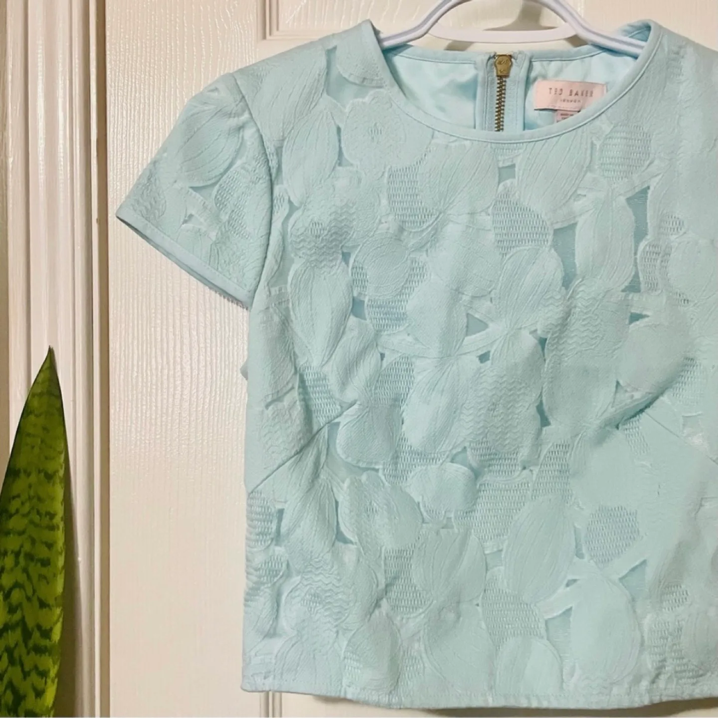 Ted Baker Starlia Cropped Top Blouse image indicator(3)