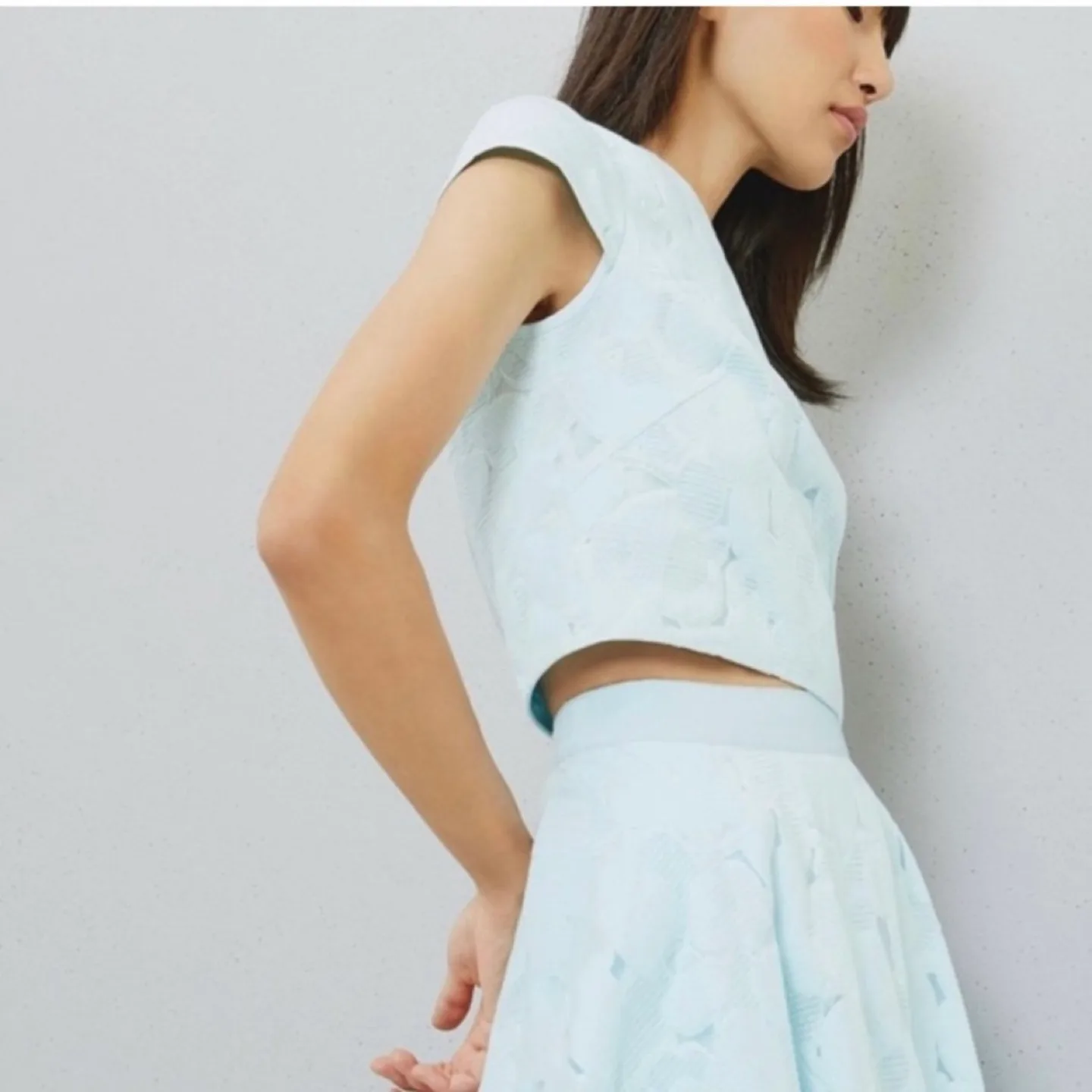 Ted Baker Starlia Cropped Top Blouse image indicator(8)