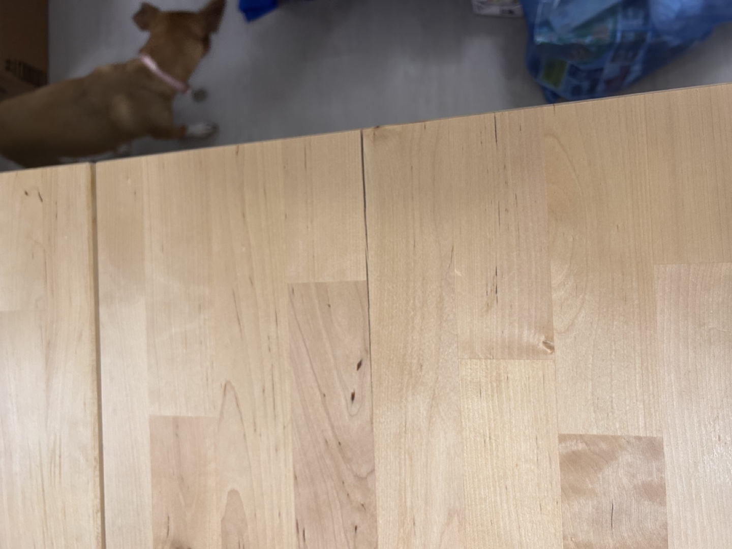 IKEA NORDEN Folding Table, Birch - photo 5