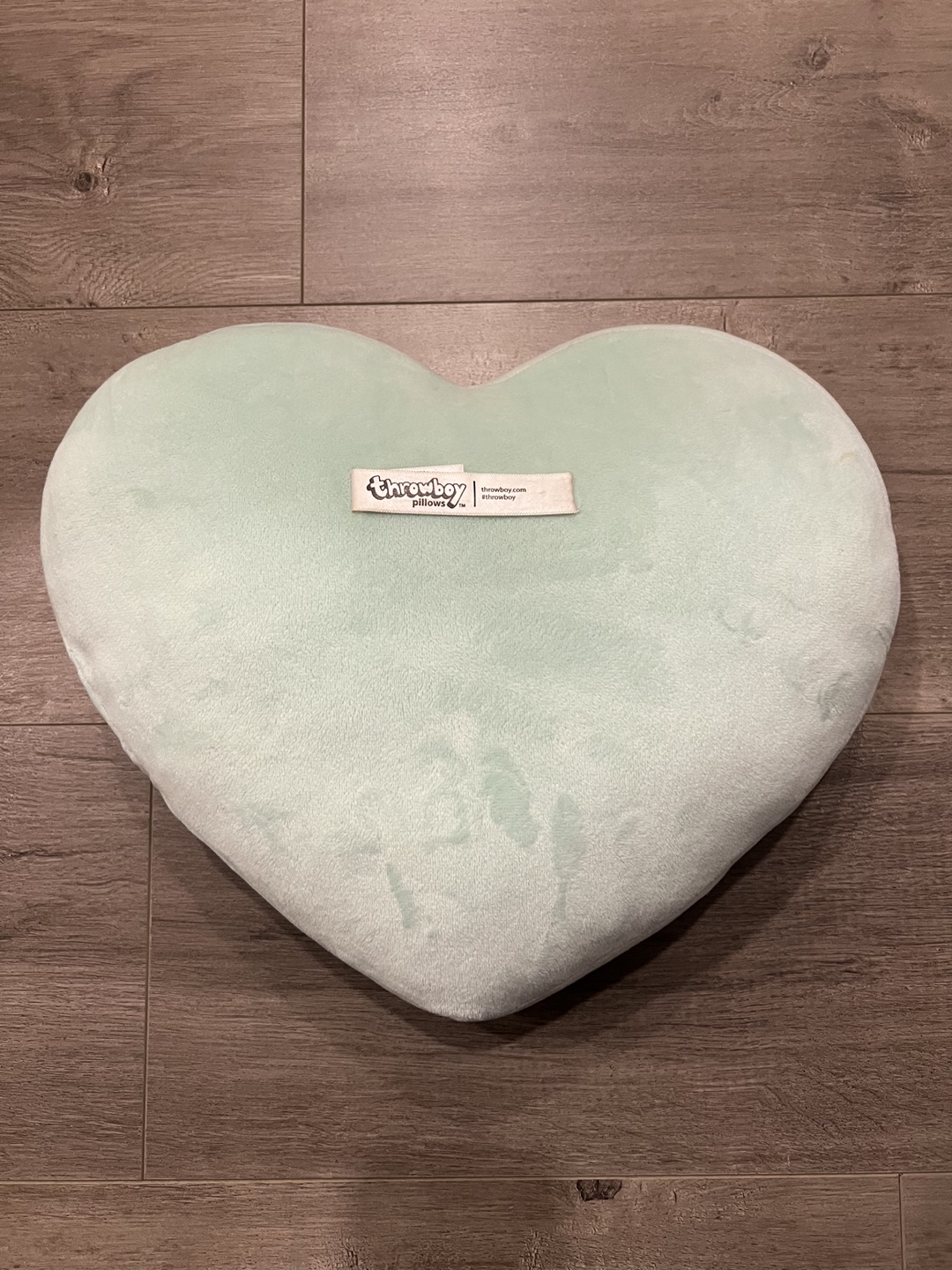 Throwboy 4EVR ALONE Heart Pillow - photo 2