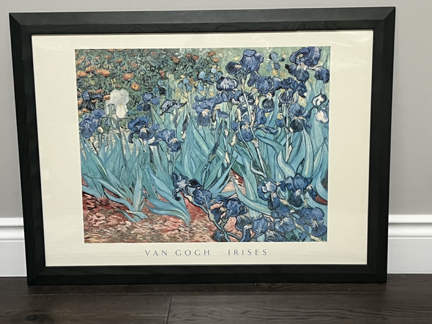Framed Van Gogh Irises Print