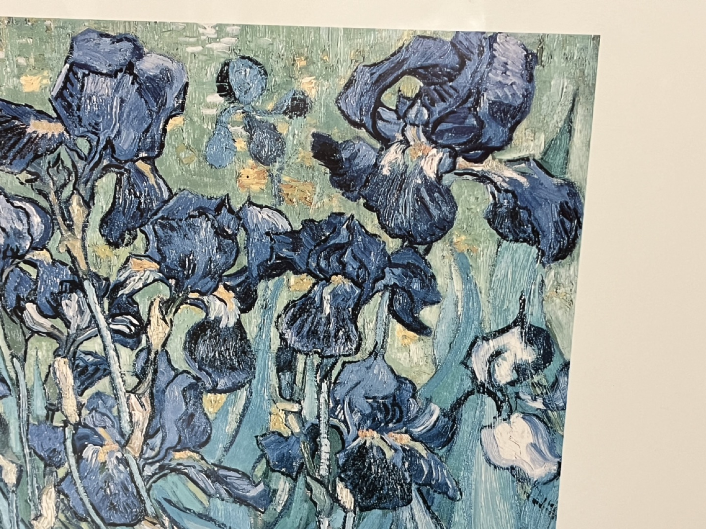 Framed Van Gogh Irises Print - photo 2