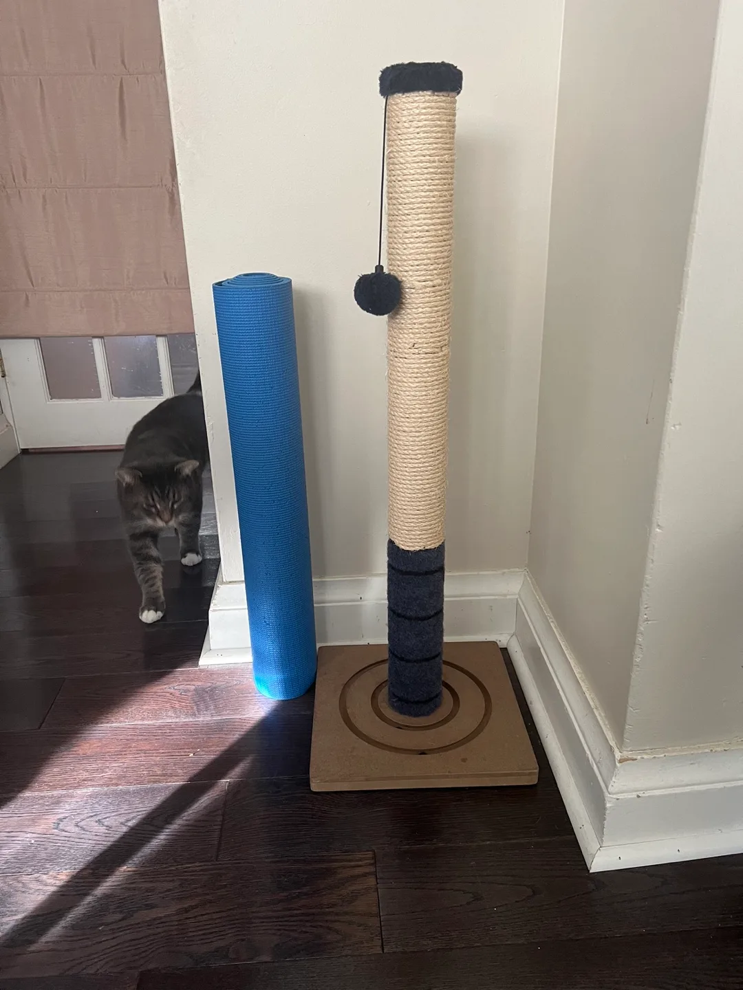 Cat 🐱 Scratching Post image indicator(2)