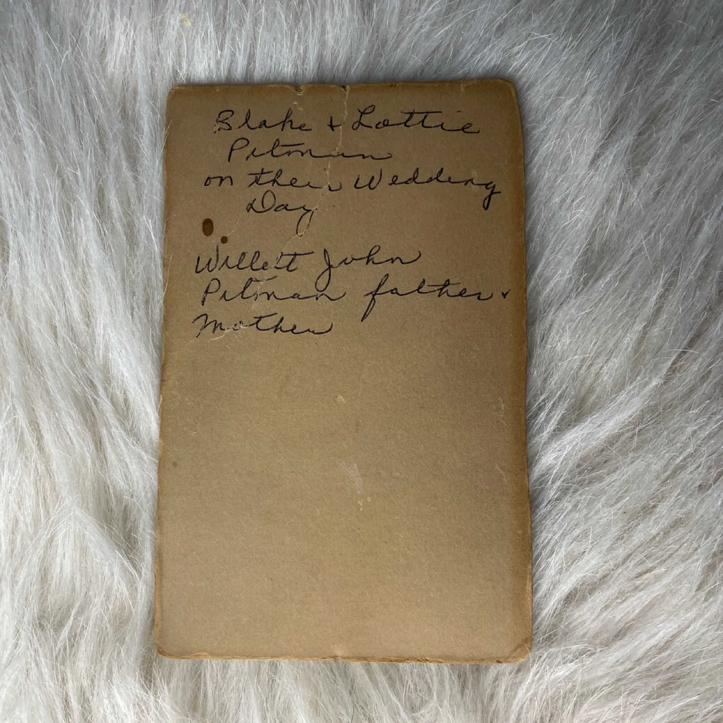 Antique Wedding Photo image indicator(2)