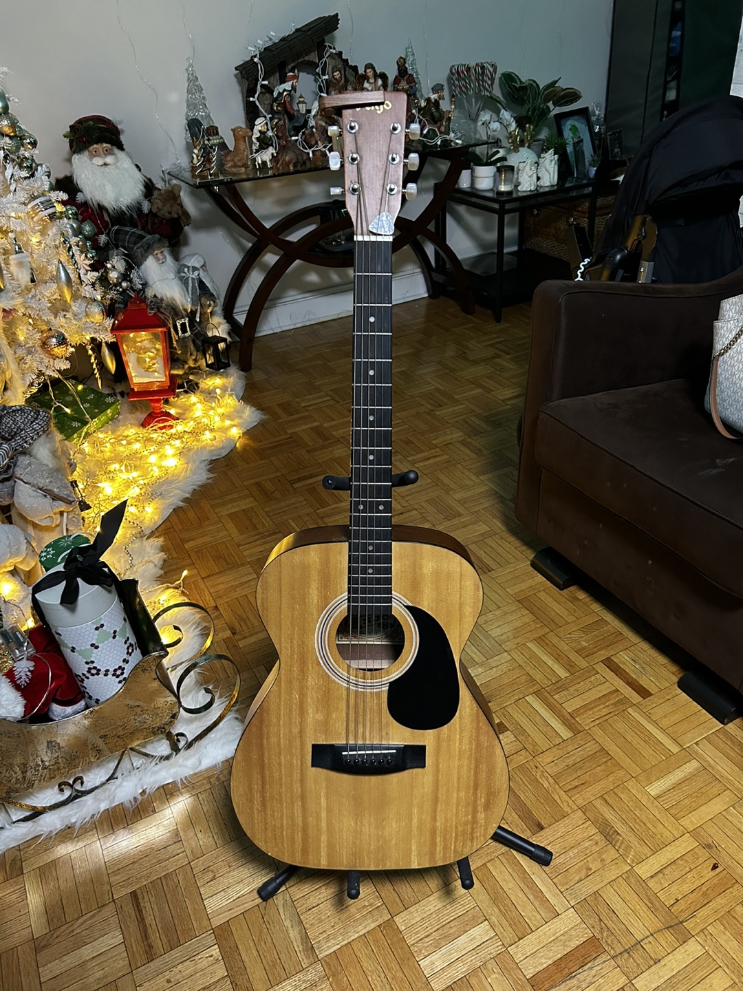 Acoustic Guitar