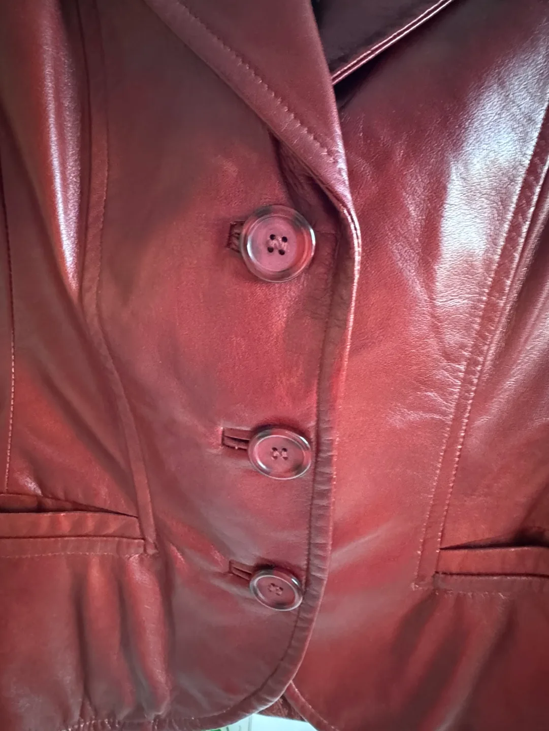 Danier dark red Leather Jacket image indicator(6)