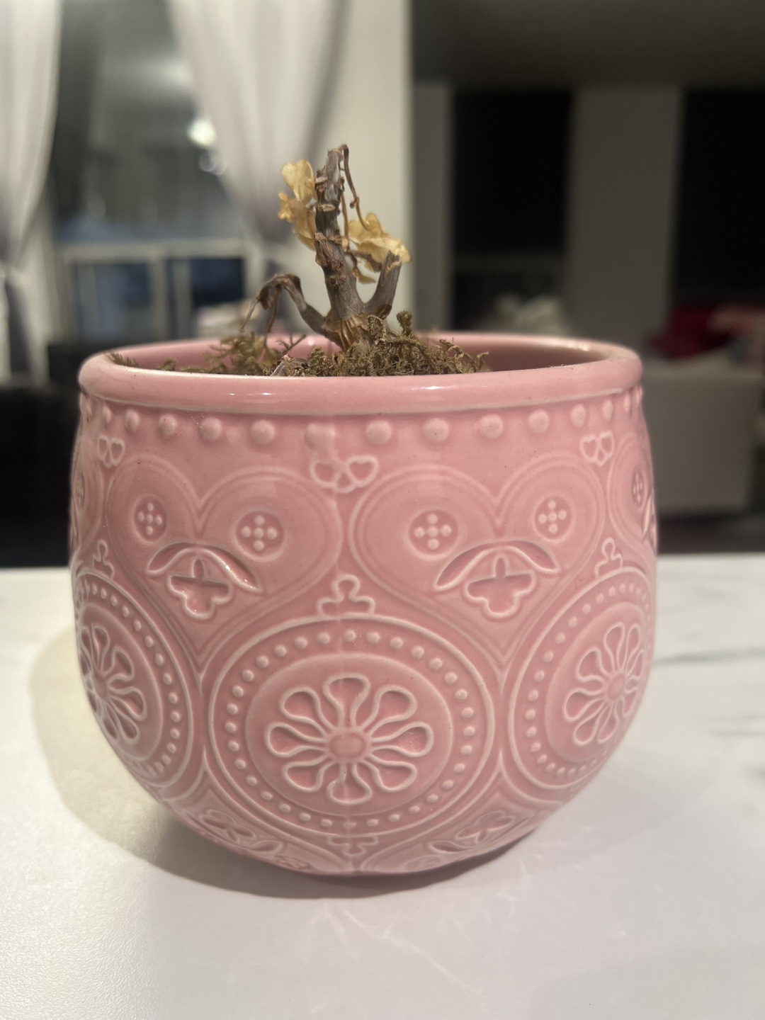 🥕🥕🥕Pink Ceramic Planter🥕🥕🥕