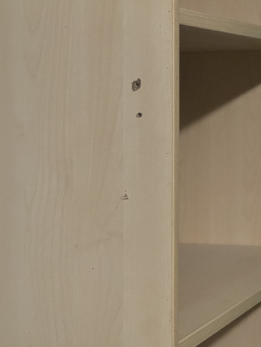 Tall Bookshelf - photo 4