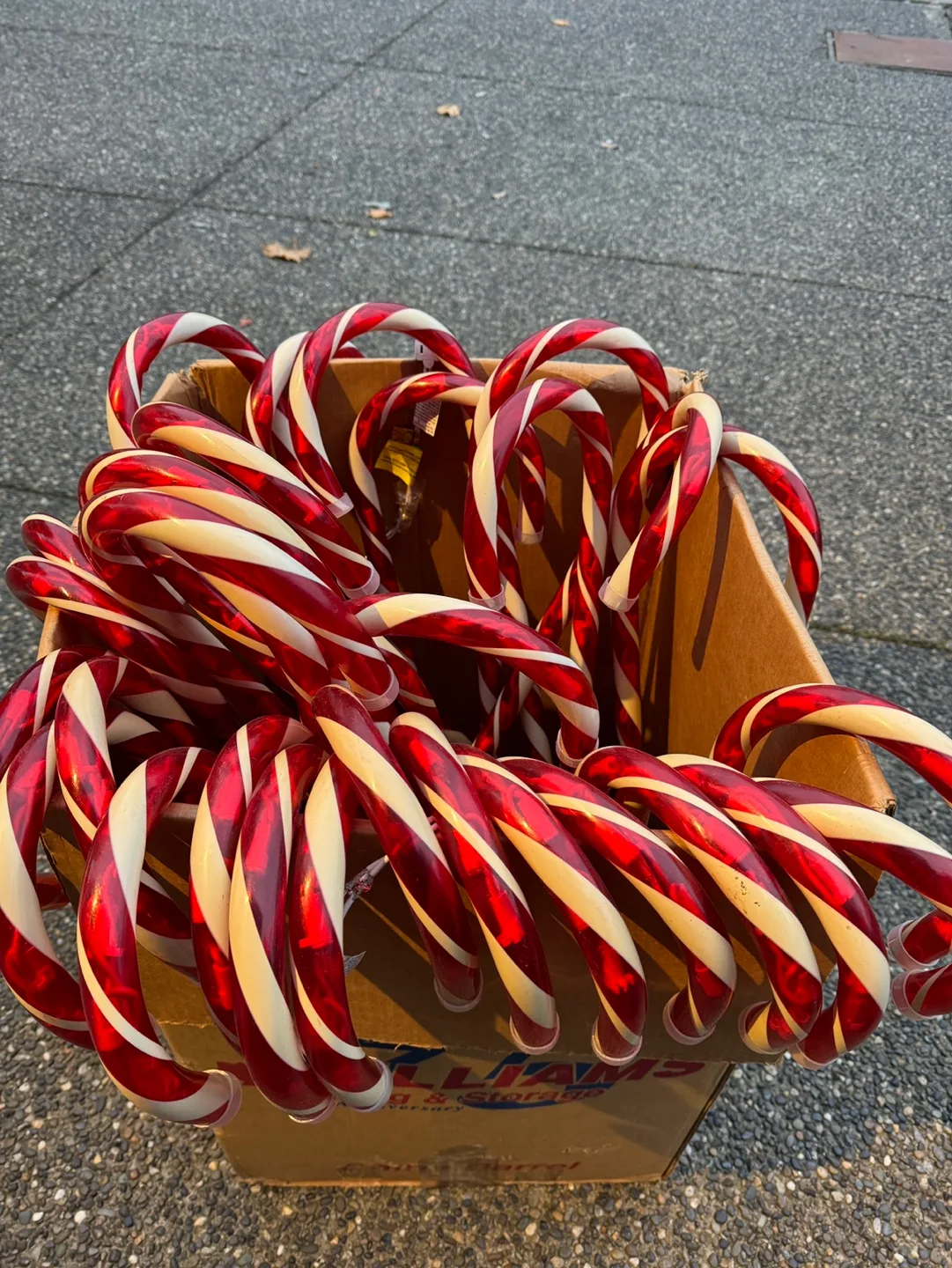 Large Candy Cane Lights image indicator(2)