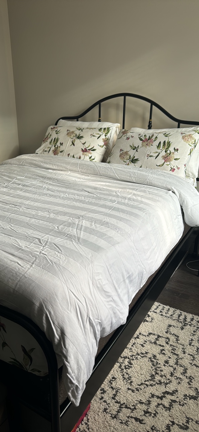 Queen Mattress + Box spring