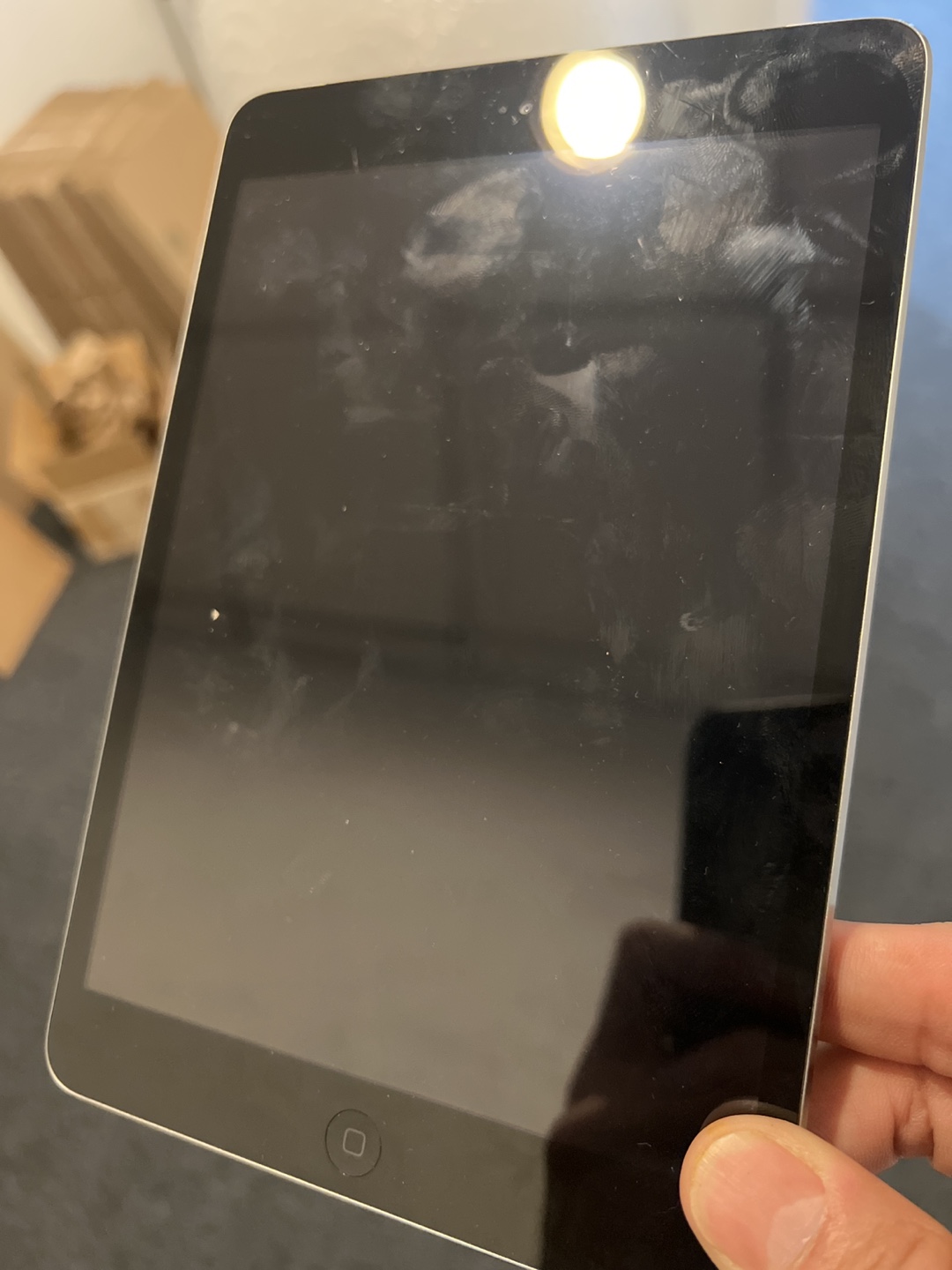 iPad Mini 2