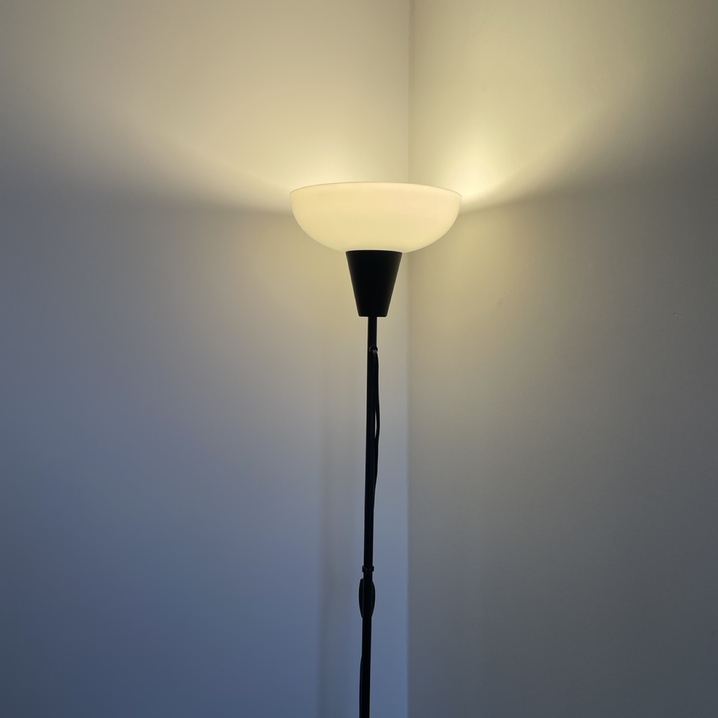 ✨MOVE OUT SALE(~11/30)✨ Black Floor Lamp