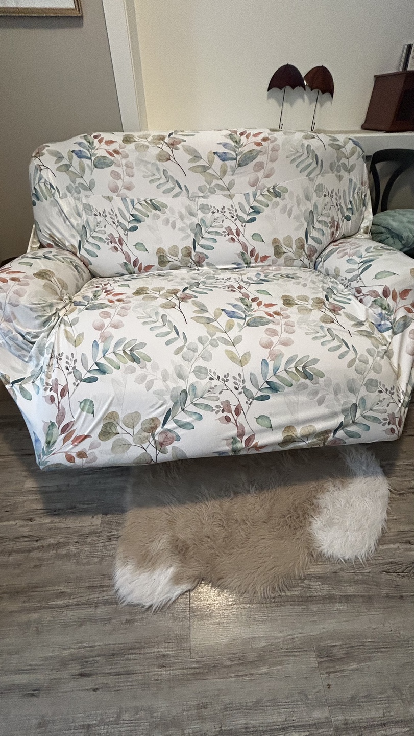 Free power loveseat