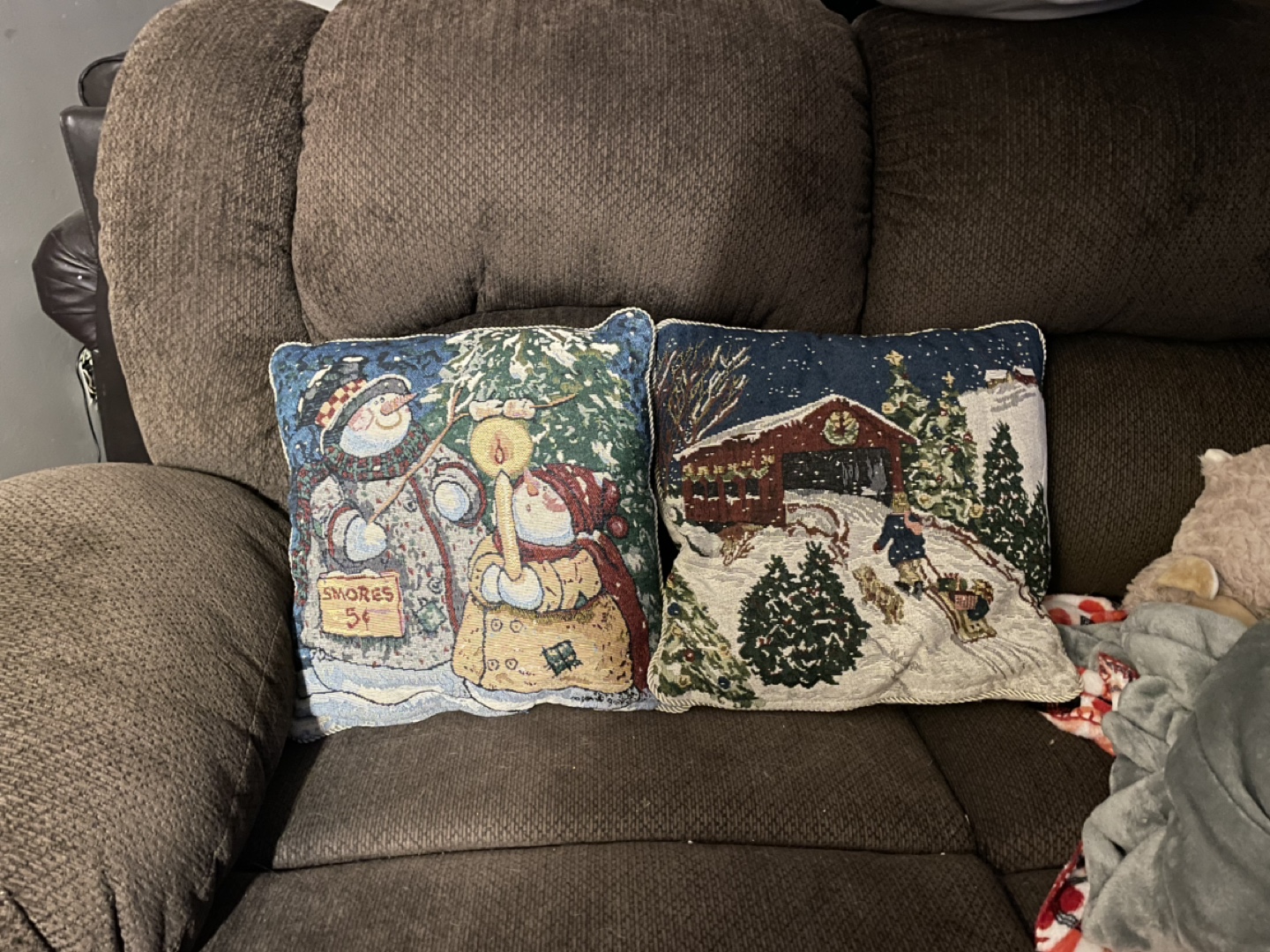 Set of 2 Winter Themed Throw Pillows