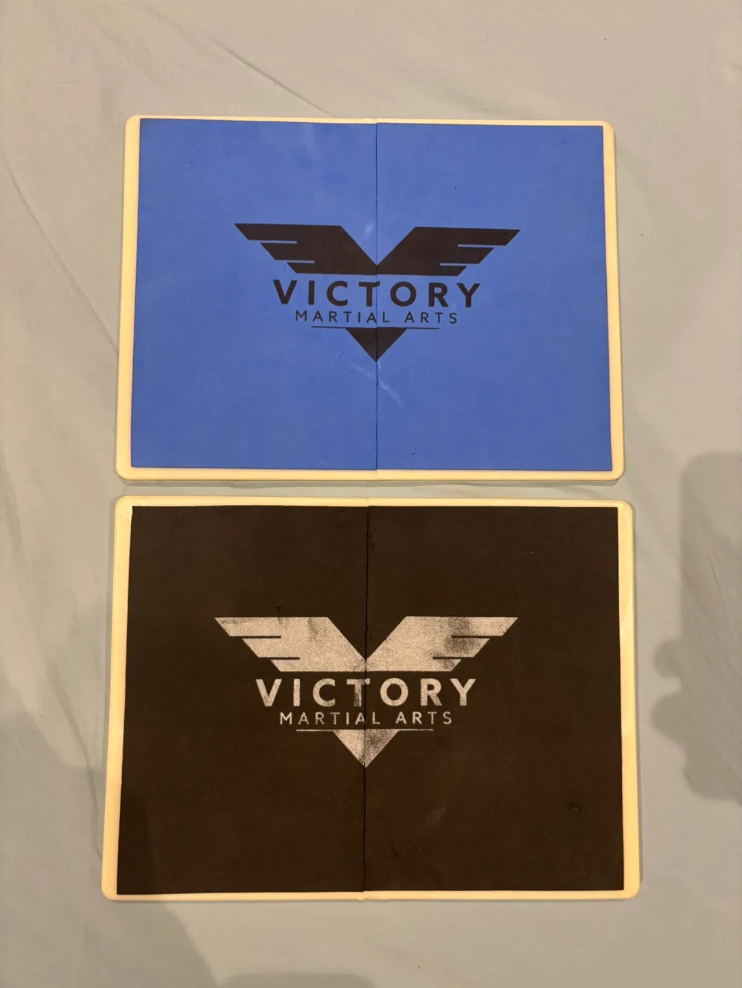 Victory Martial Arts breaking boards image indicator(2)