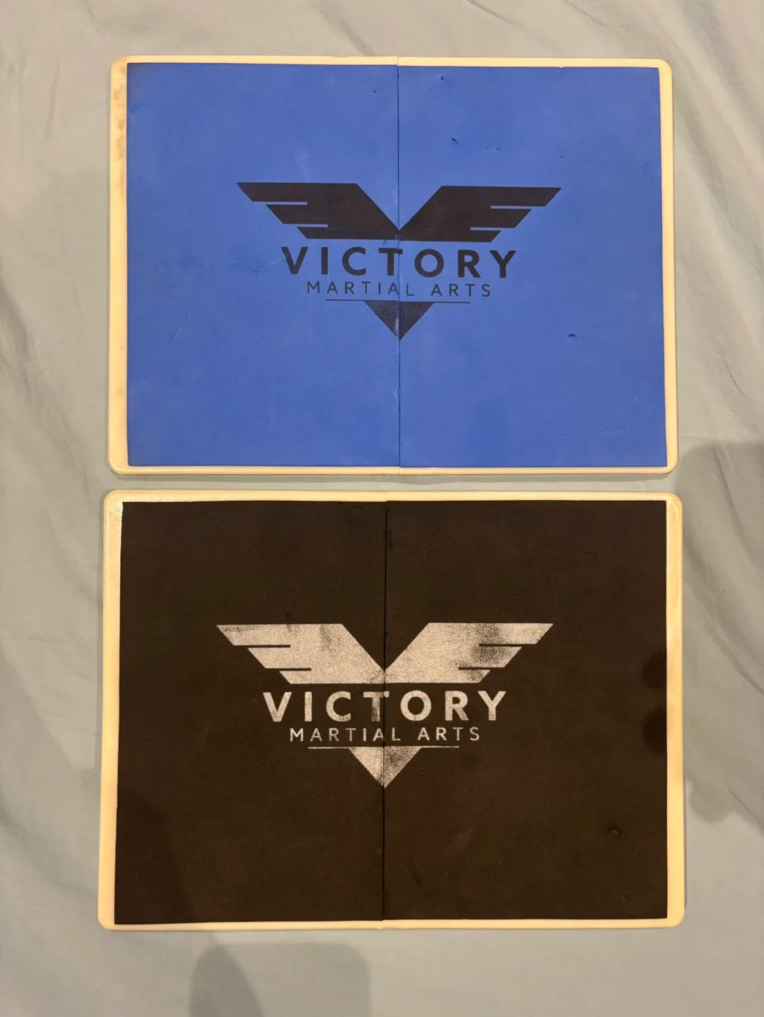 Victory Martial Arts breaking boards image indicator(3)