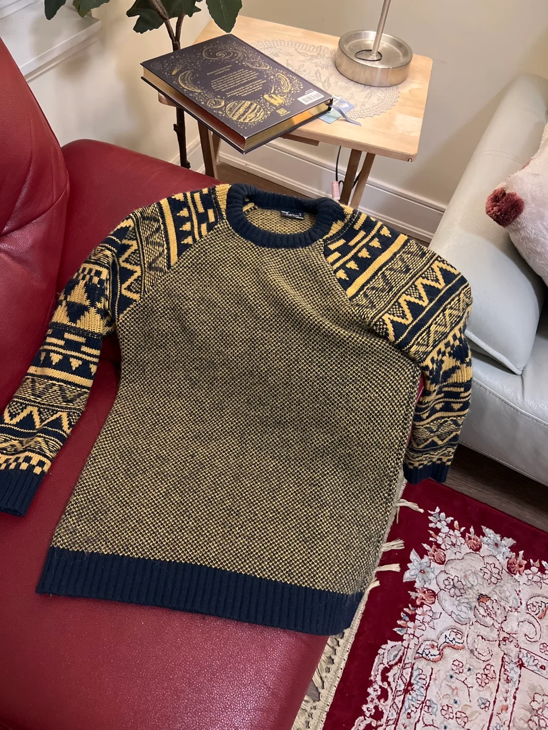 Clothes image indicator(6)