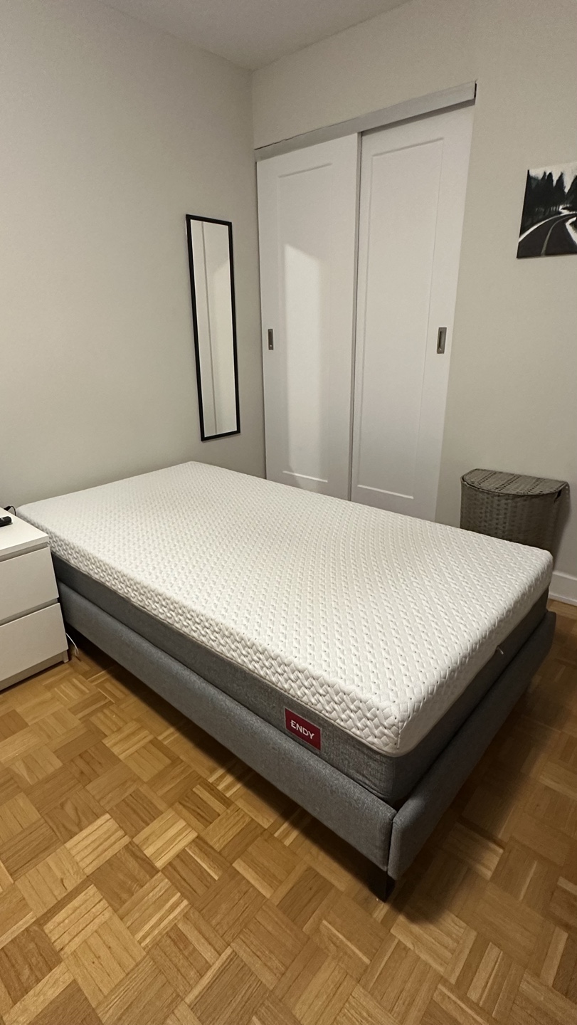 Endy Platform Bed and Mattress - Twin Sized