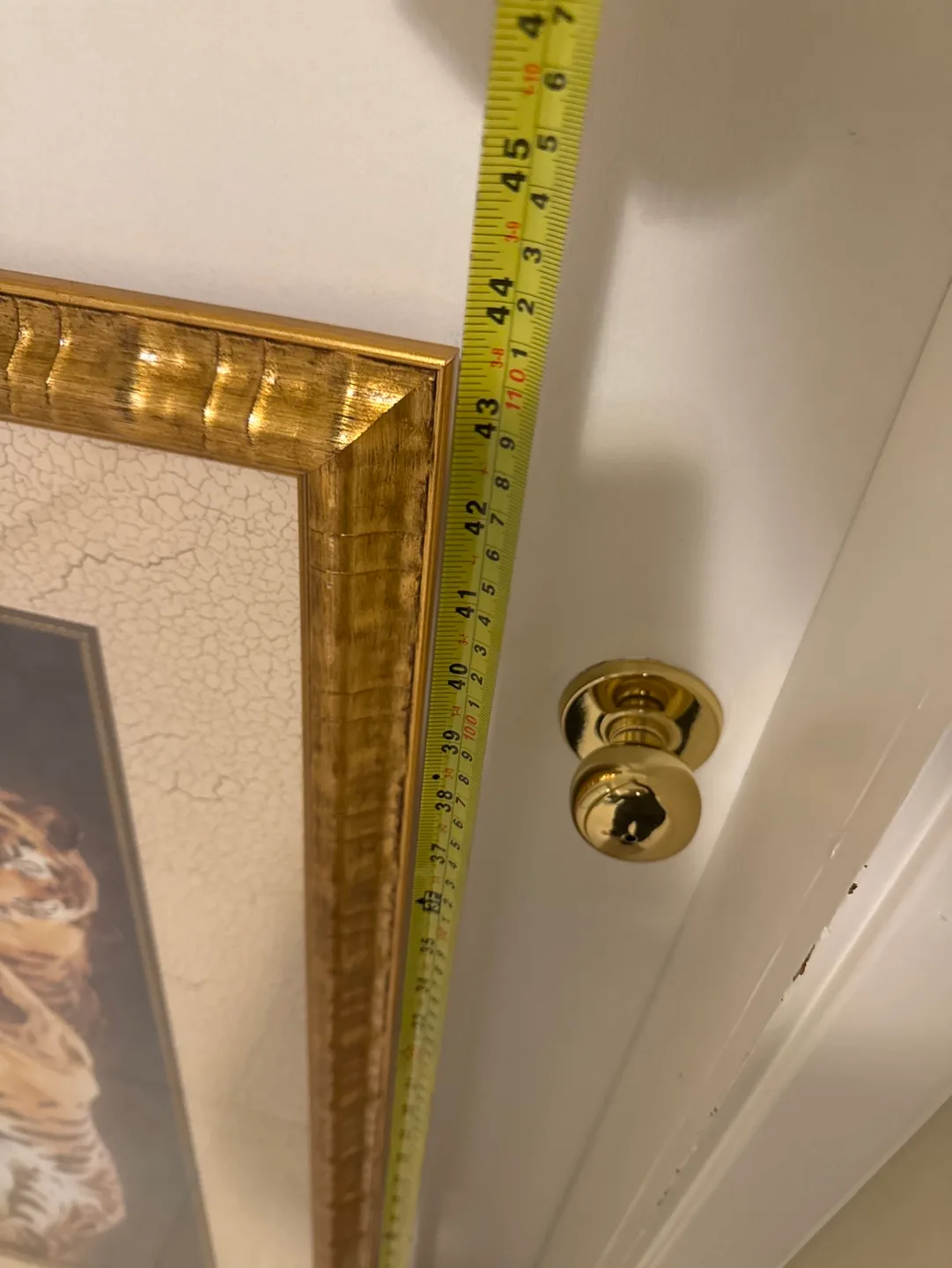 Framed Tiger Print image indicator(3)