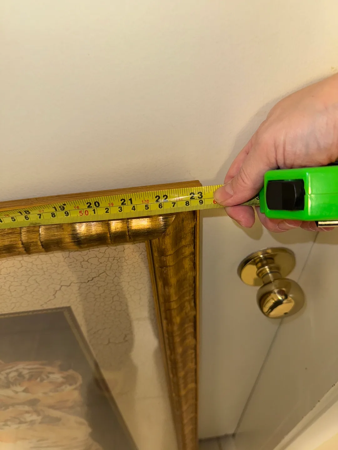 Framed Tiger Print image indicator(4)