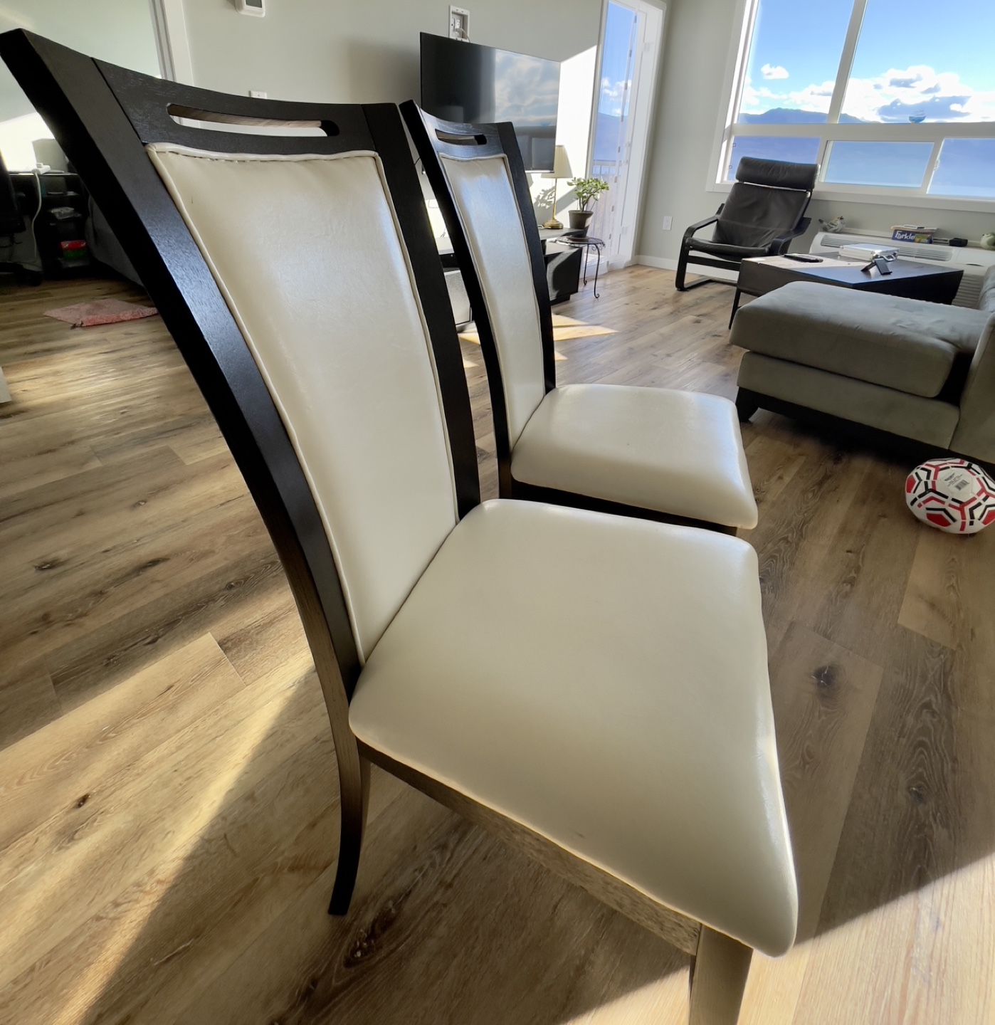 Set of 2 Dining Chairs