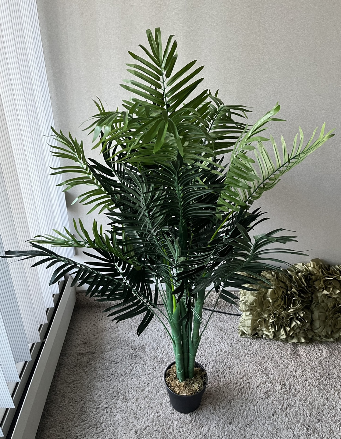 PICK UP BY NOV 24TH! Artificial Plant