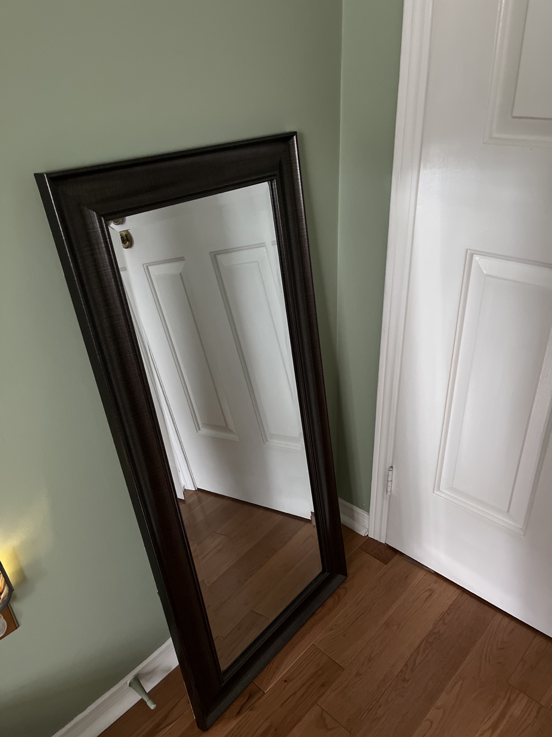 Full Length Mirror with Black Frame