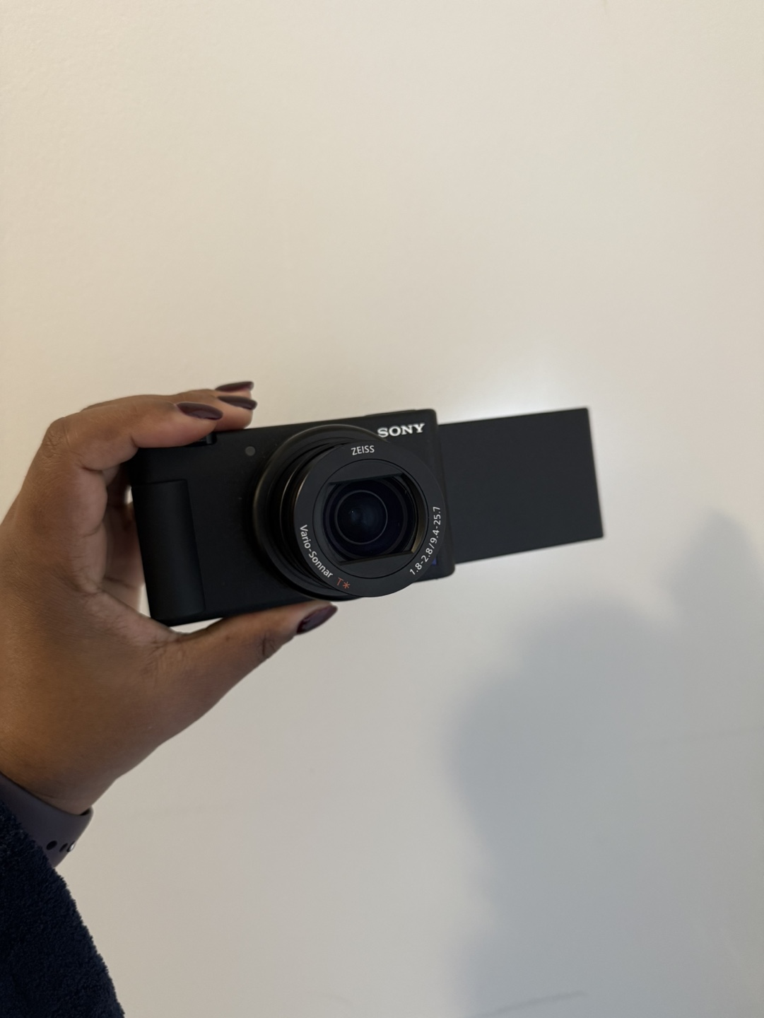 Sony Zv-1 - photo 5