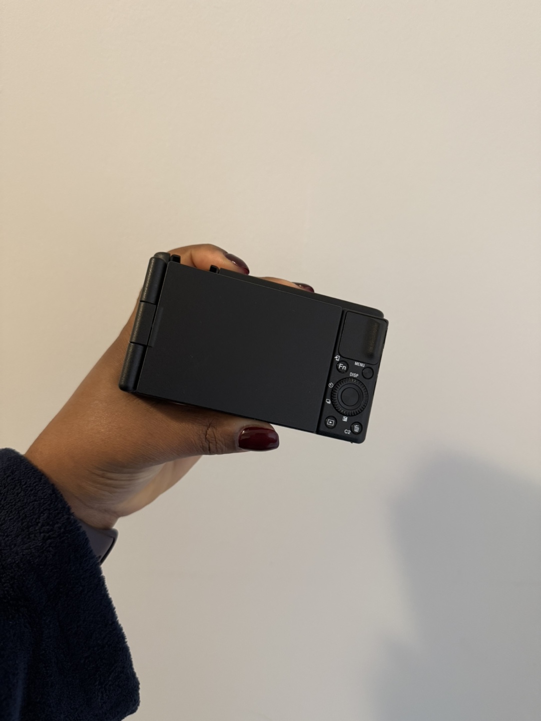 Sony Zv-1 - photo 3