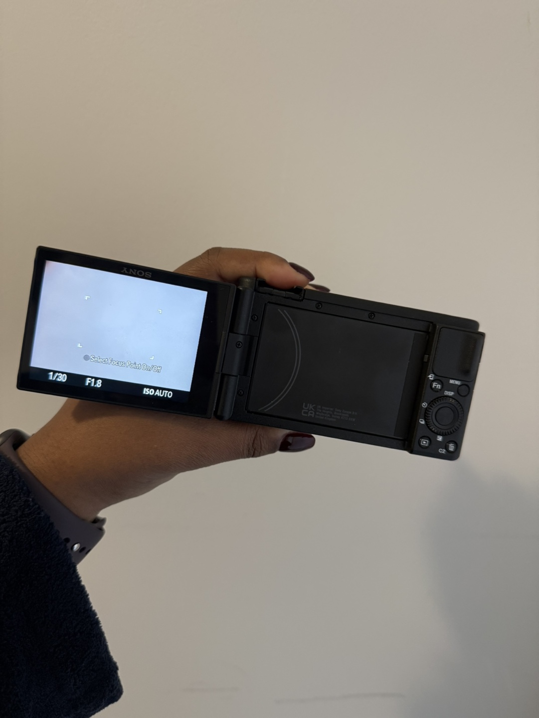 Sony Zv-1 - photo 4