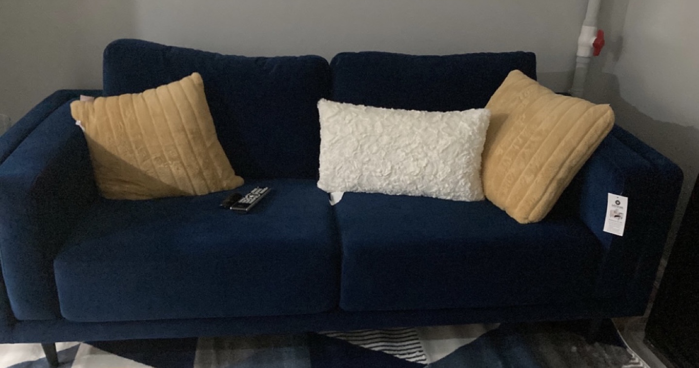 Blue Velvet Couch