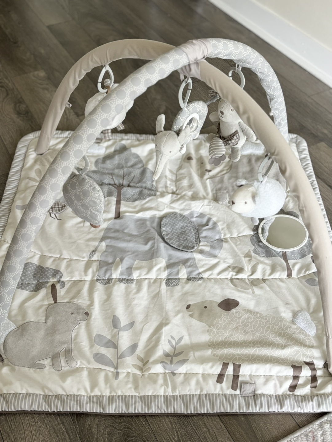 Pottery Barn Kids Animal Friends Classic Activity Gym