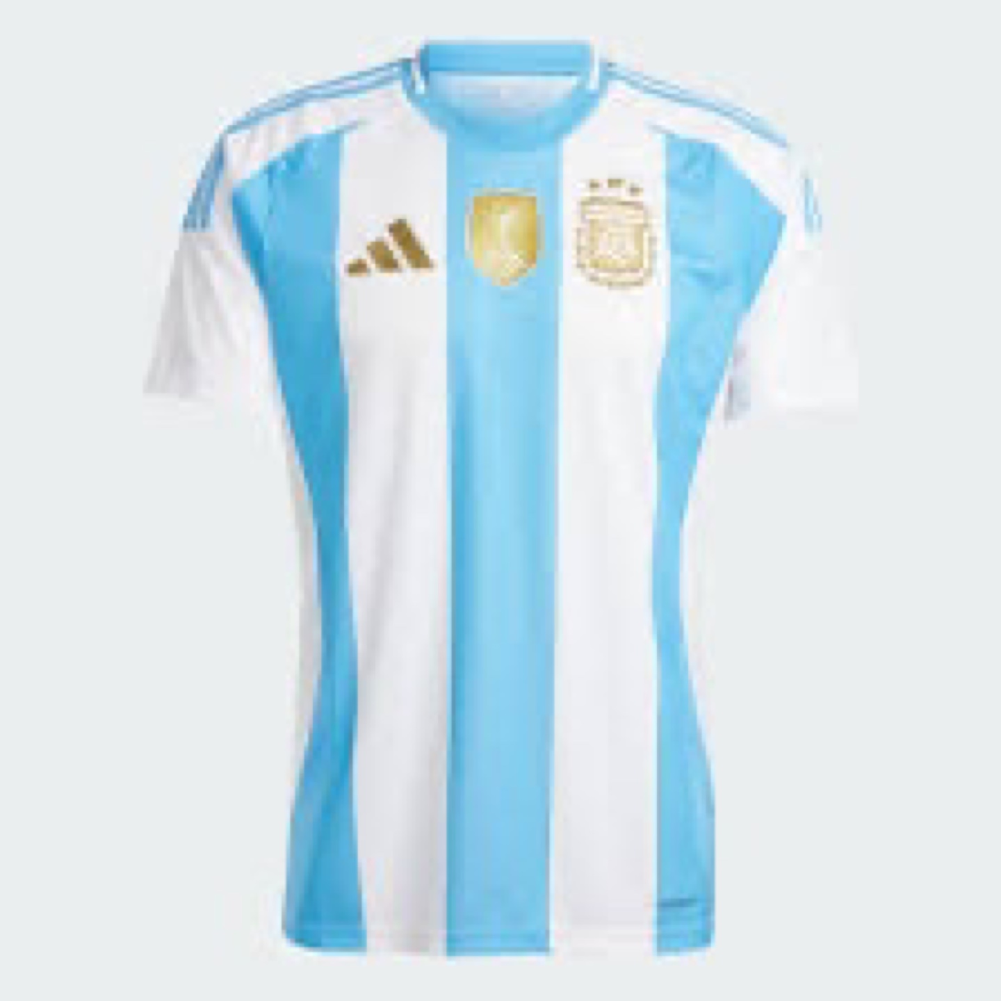 Argentina Soccer Jersey