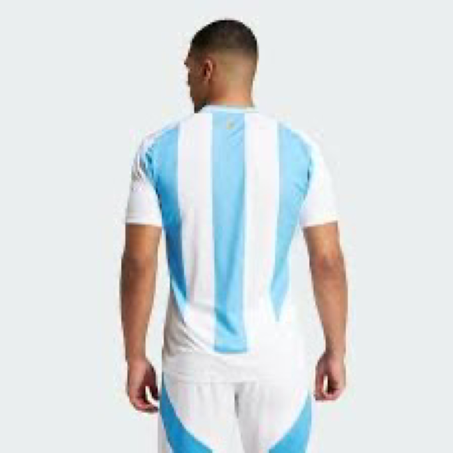 Argentina Soccer Jersey - photo 2