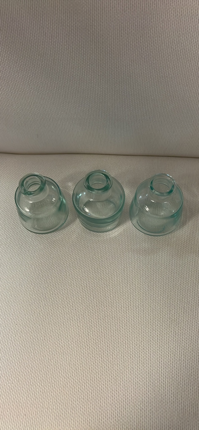 Set of 3 Glass Vases